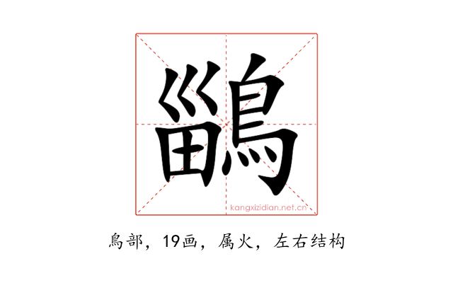 鶅