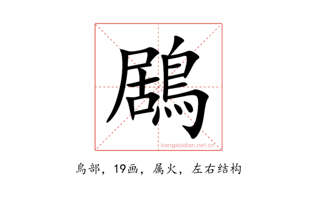 鶋