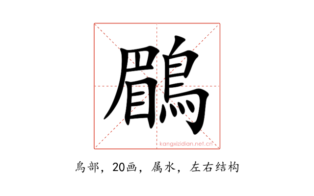 鶥