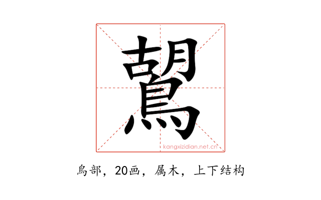 鶦