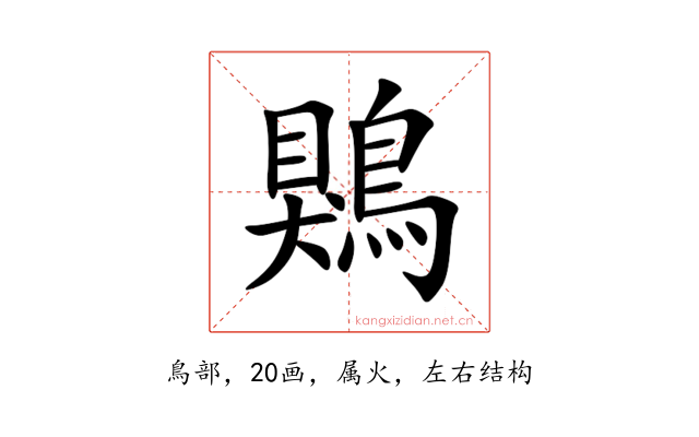 鶪