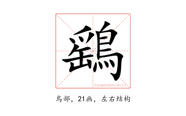 鷂