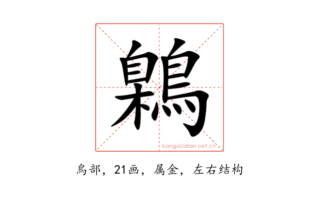 鷍