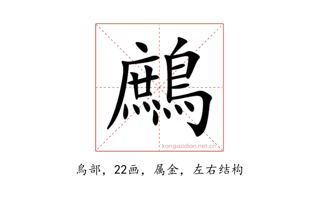 鷓