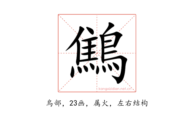 鷦