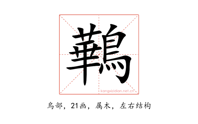 鷨