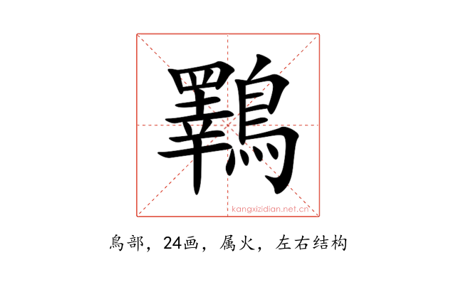 鸅
