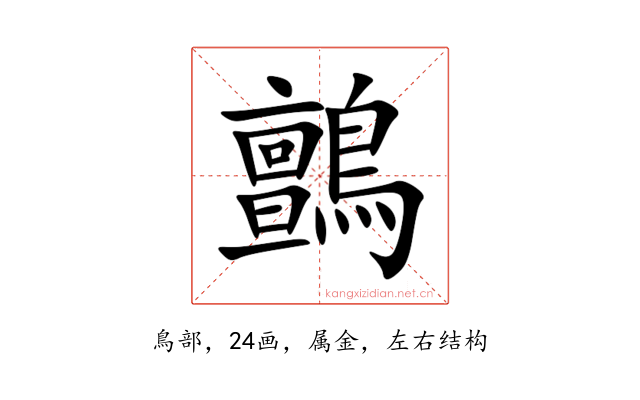 鸇