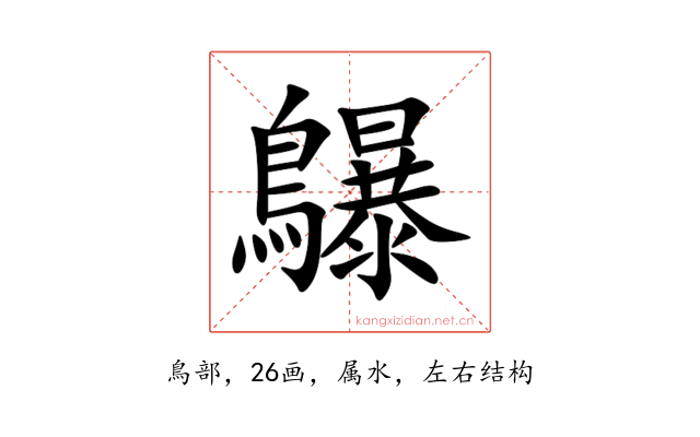 鸔