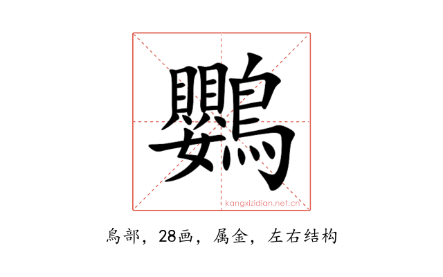 鸚