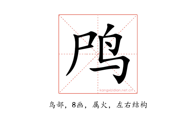 鸤