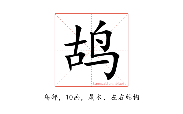 鸪