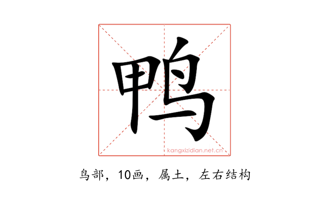鸭