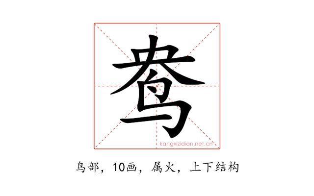 鸯
