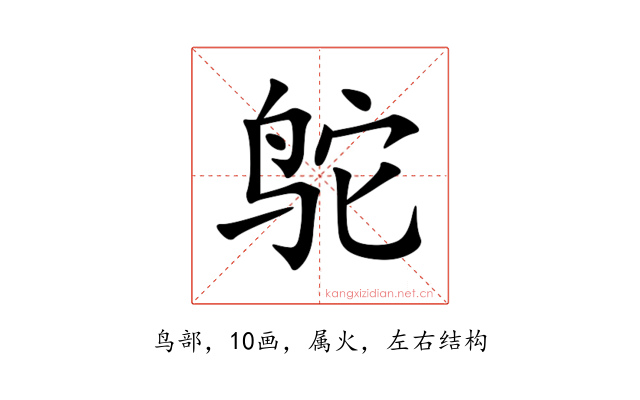 鸵