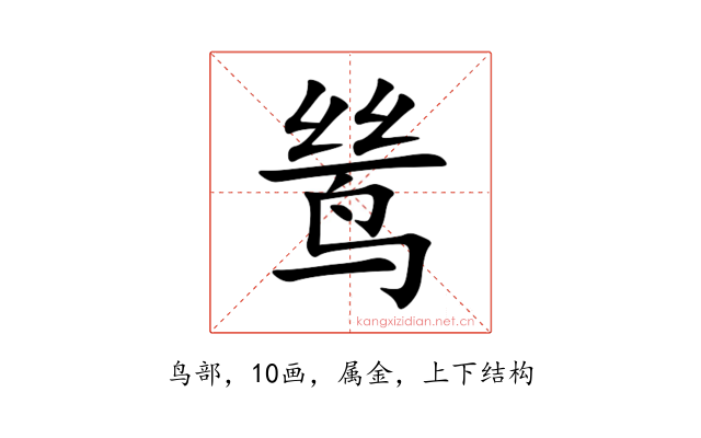 鸶