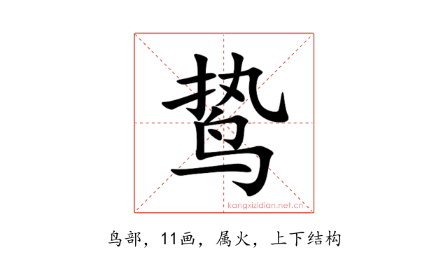 鸷
