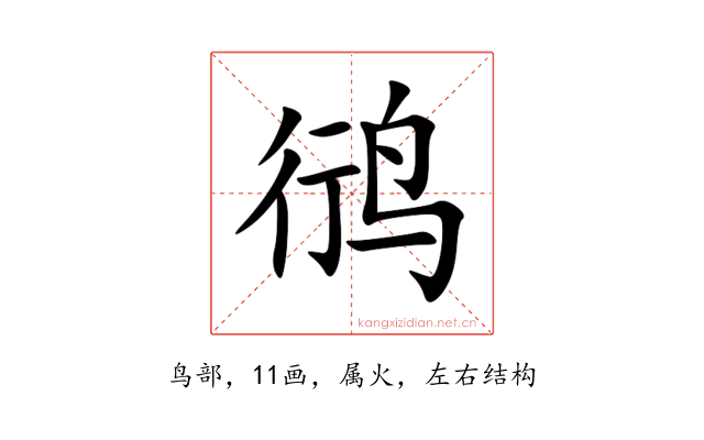 鸻