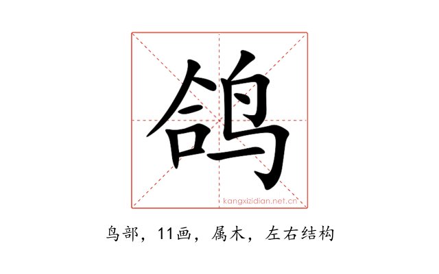 鸽