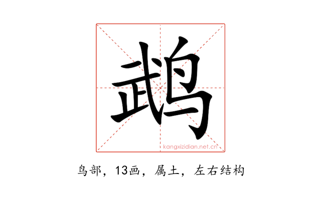鹉
