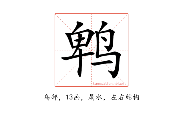 鹎