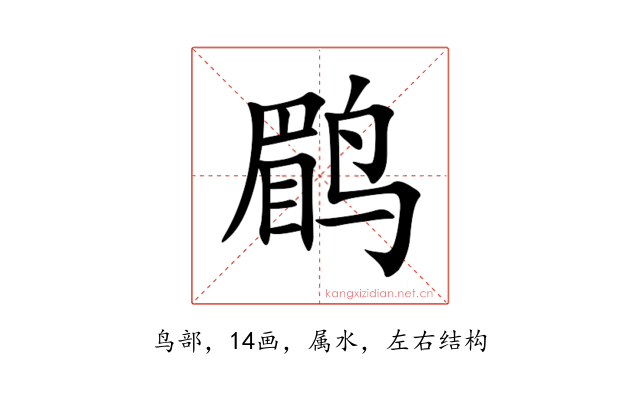 鹛