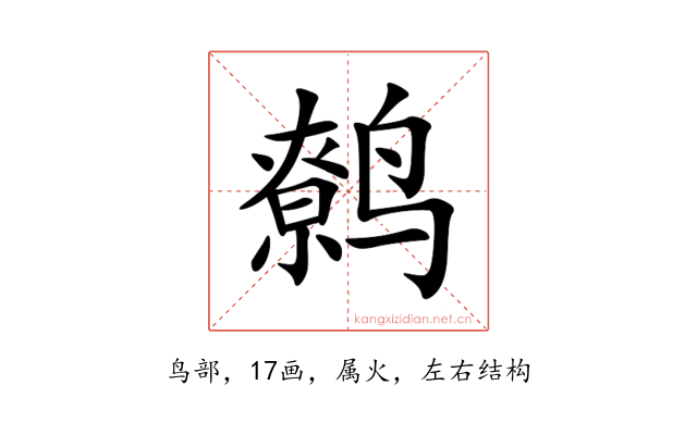 鹩