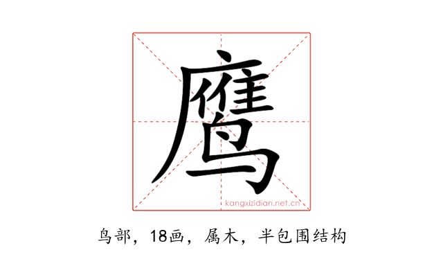 鹰