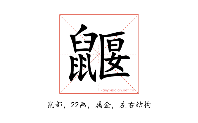 鼴