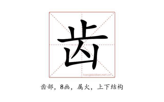 齿