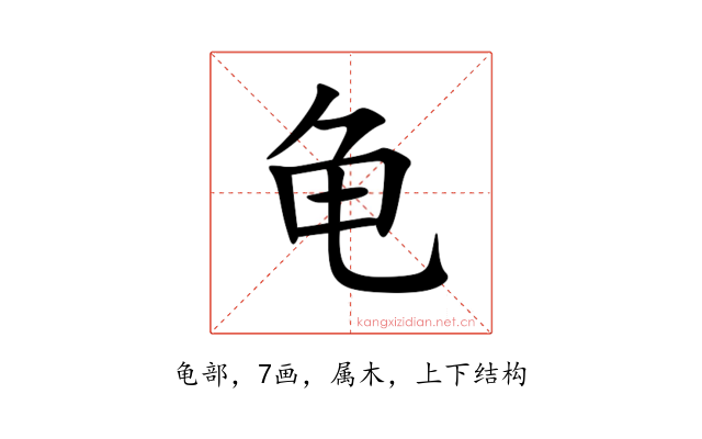 龟