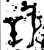 𥎯(金文·西周·西周中期)