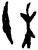 𤯝(甲骨文·商·𠂤组)