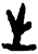 生(甲骨文·商·𠂤组)